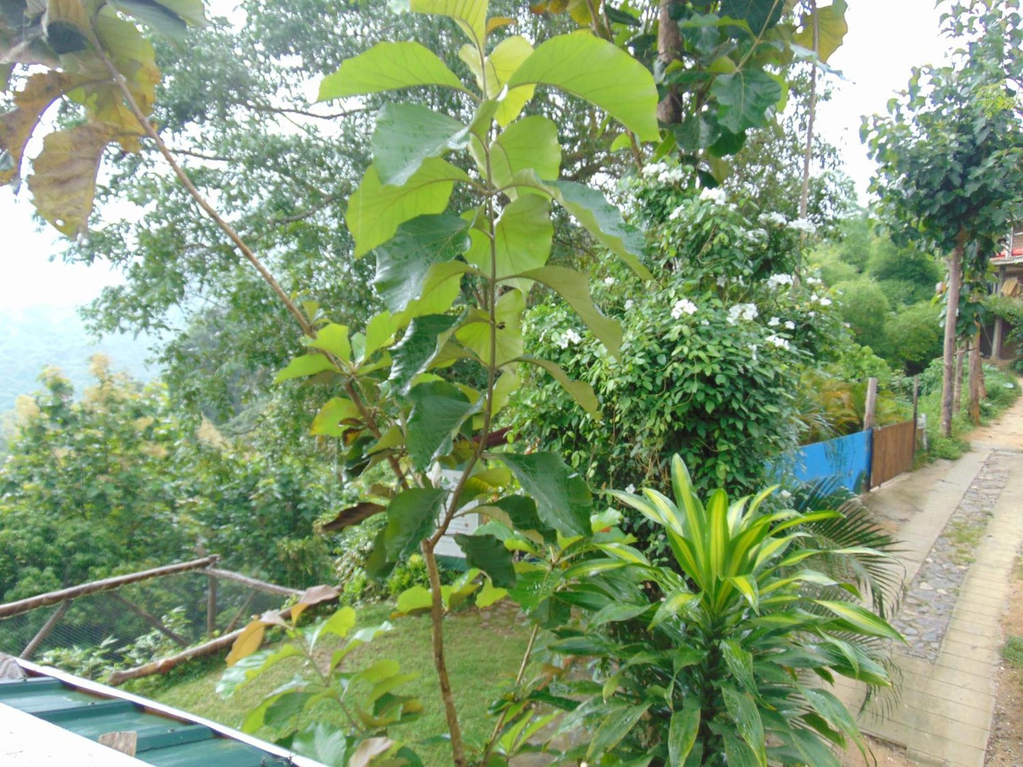 Dunarinka Minca Ngoại thất bức ảnh