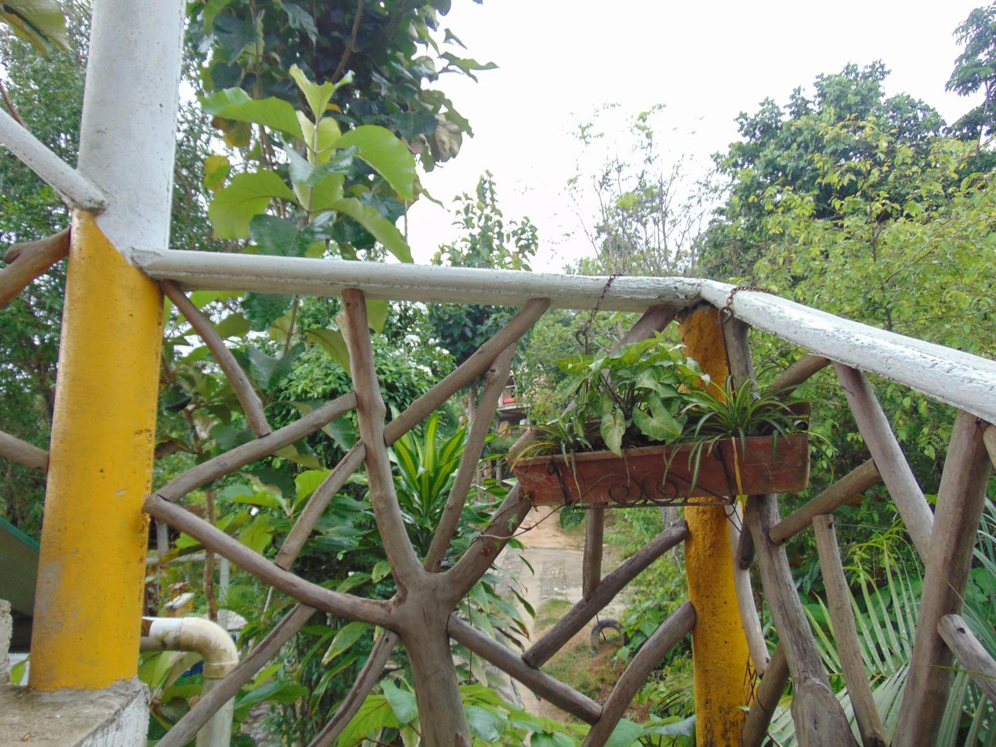 Dunarinka Minca Ngoại thất bức ảnh